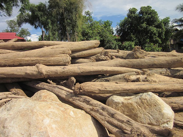 Felled logs swept down into Wan Kai village (Photo courtesy of Japhet Jakui)